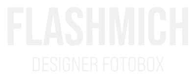 FLASH MICH Logo